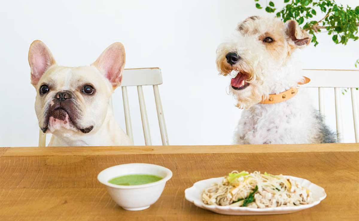 「長生き犬ごはん」の考案者がたどり着いたワンコための“一汁一菜”