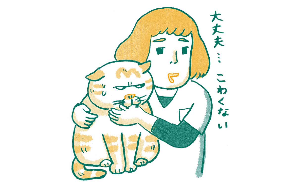 病院を転々とするのは愛猫に負担が...獣医を悩ませる「困った飼い主たち」のサムネイル