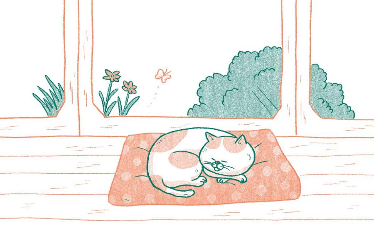 負担をかけたくない...「老猫の治療」を自然に任せるのは飼い主失格？のサムネイル