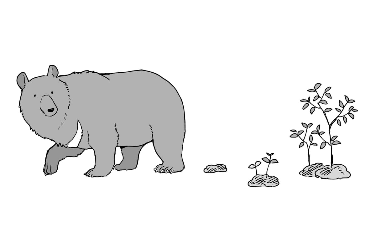 クマの糞を291個拾った学生を、研究の道に導いた“卒論提出3ヶ月前の悲劇”