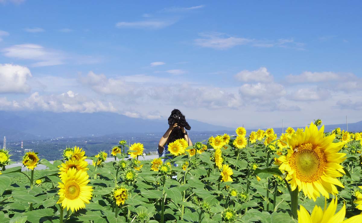 【全文公開】40代、夫が突然がんになった...置き去りにされた「リタイヤ後の北海道一周」の約束（連載第1話）