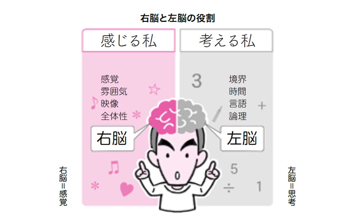右脳と左脳の役割