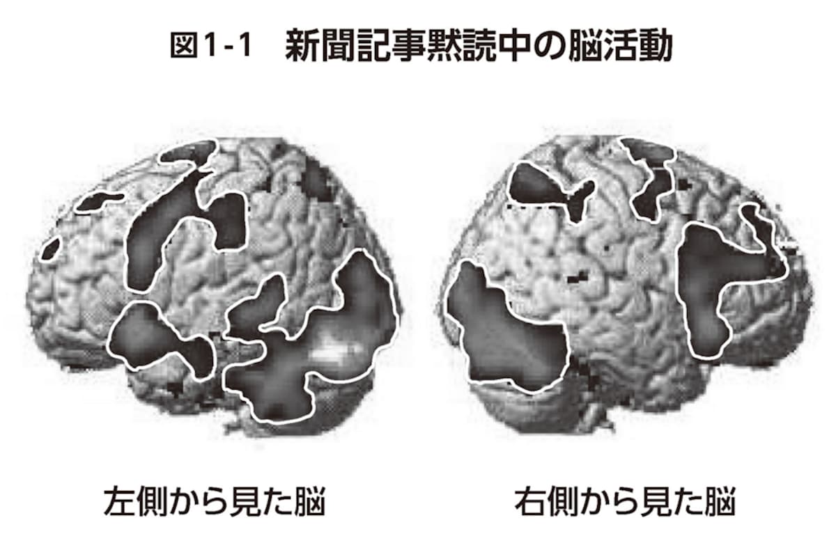 新聞記事黙読中の脳活動