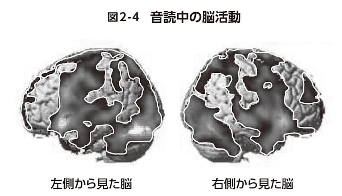 音読中の脳活動