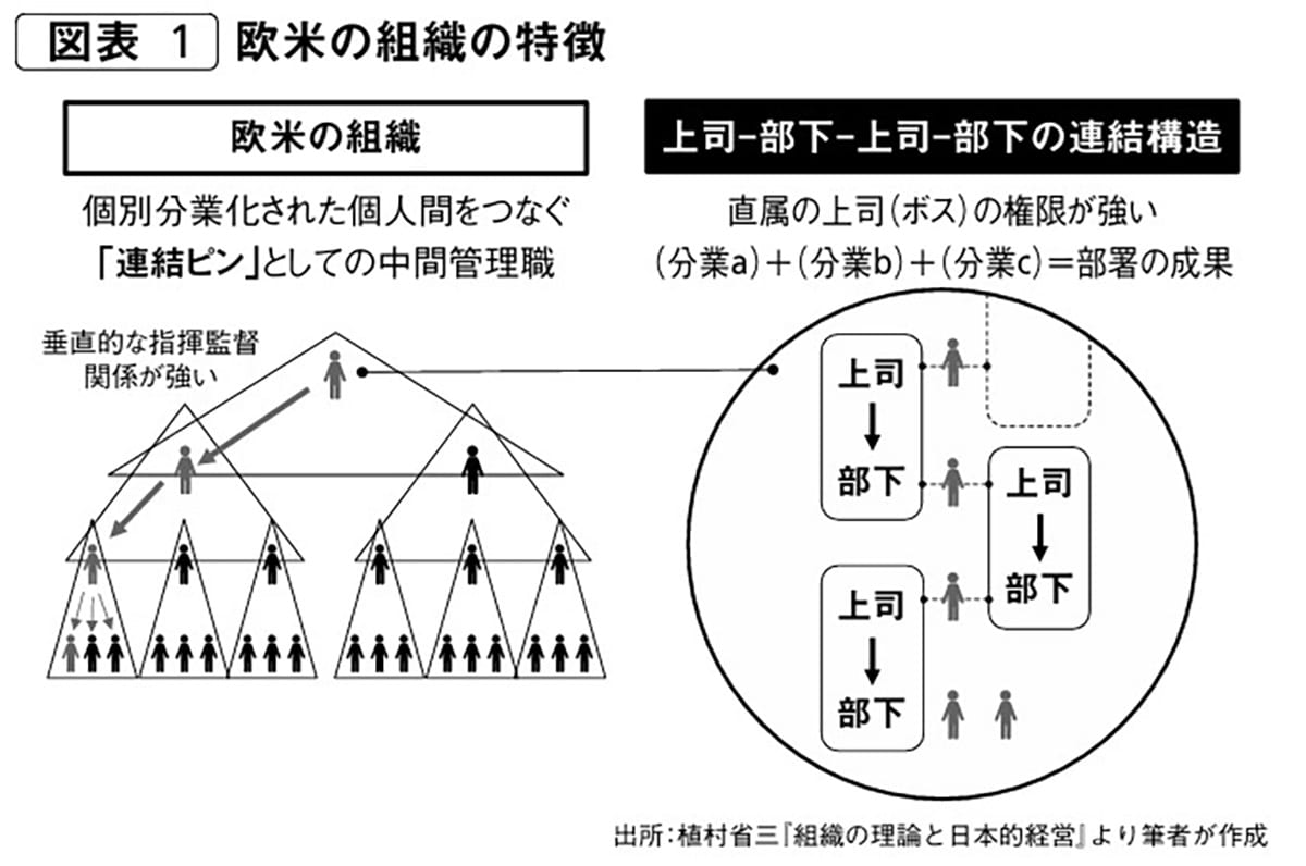 欧米の組織の特徴
