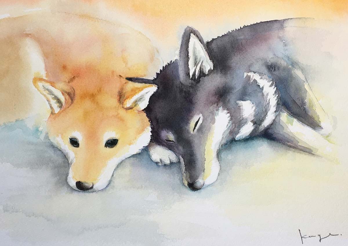 「まじめすぎて時に笑える」柴犬と28年暮らし続ける人気イラストレーター・影山直美さんが話す、その魅力