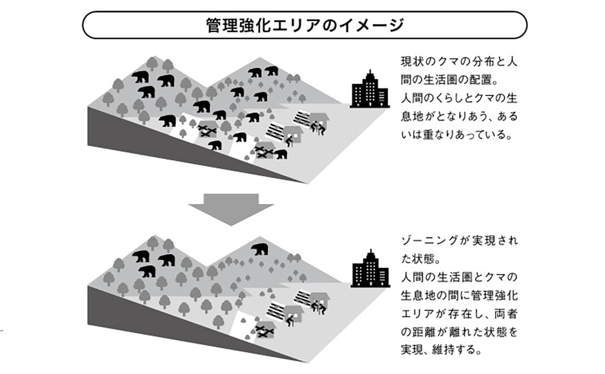 クマとの“共存“とは？専門家が説く「人間とクマの正しいすみ分け」のサムネイル