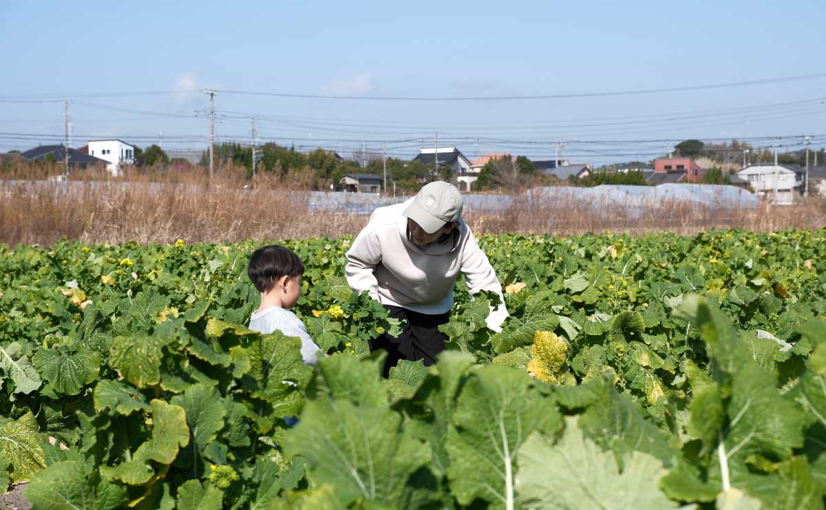 南房総で畑から始まる挑戦　「菜花」と「サトウキビ」が描く地域の現在のサムネイル