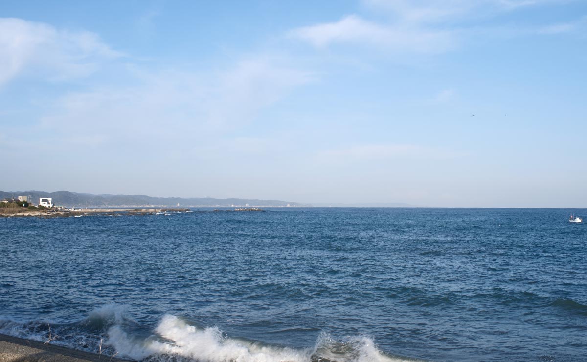海