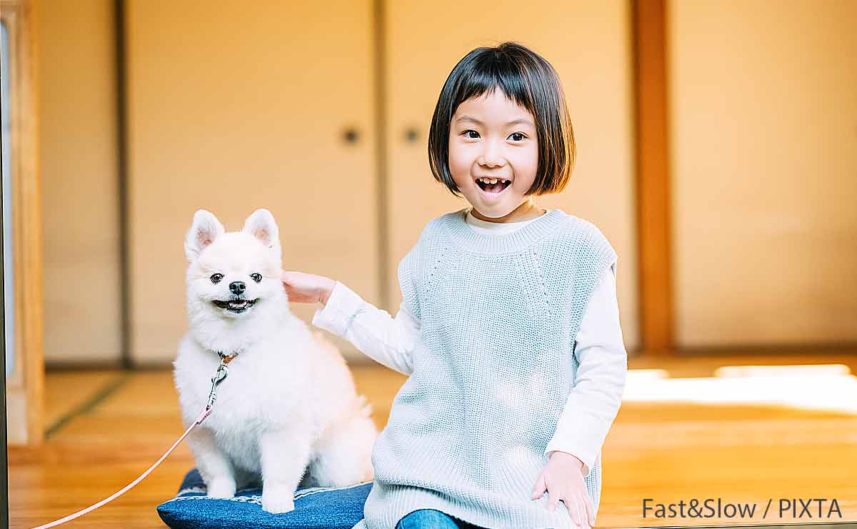 犬と見つめ合うと幸せホルモンが...科学的に分かった“ペットがもたらす癒し効果”