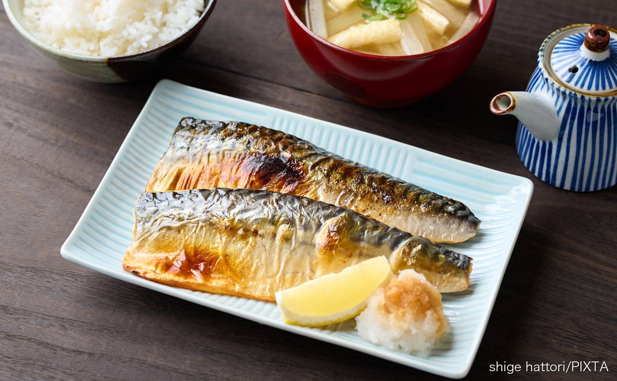 管理栄養士が教える　腸内環境を整える“食物繊維以外”の食材とは