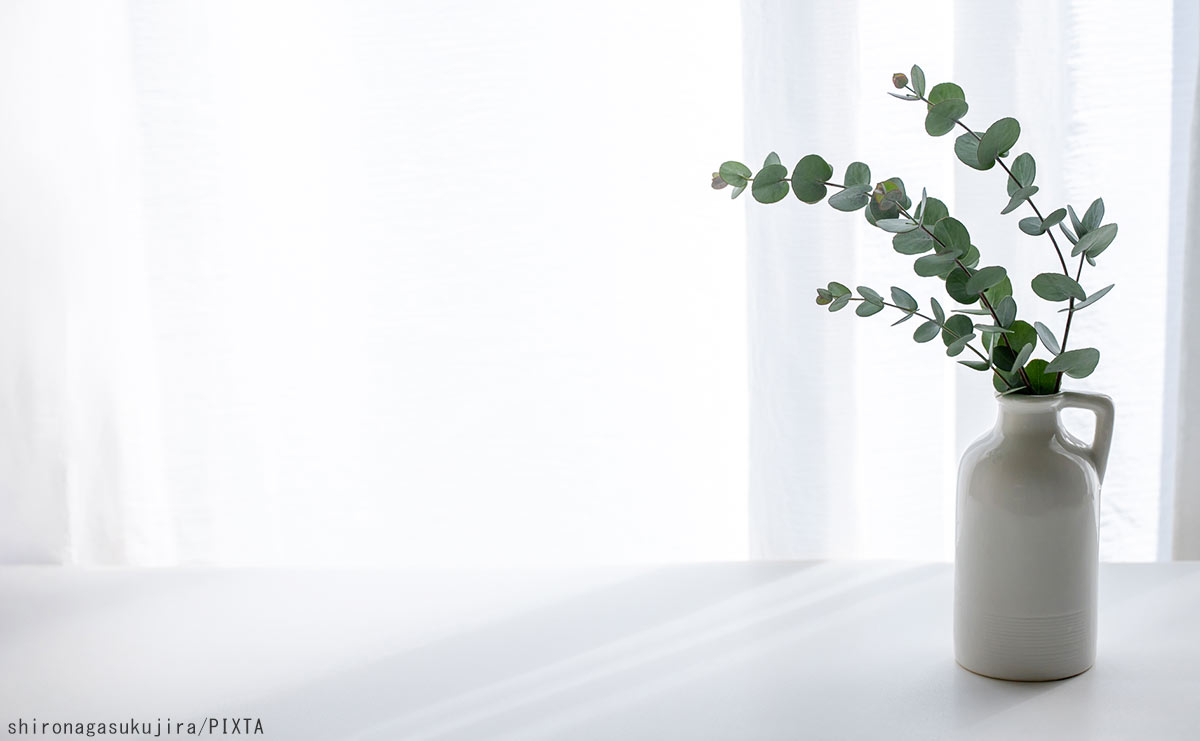 スウェーデンで独り暮らしする日本人に聞いた　全員に共通していた「早寝早起き」の理由のサムネイル
